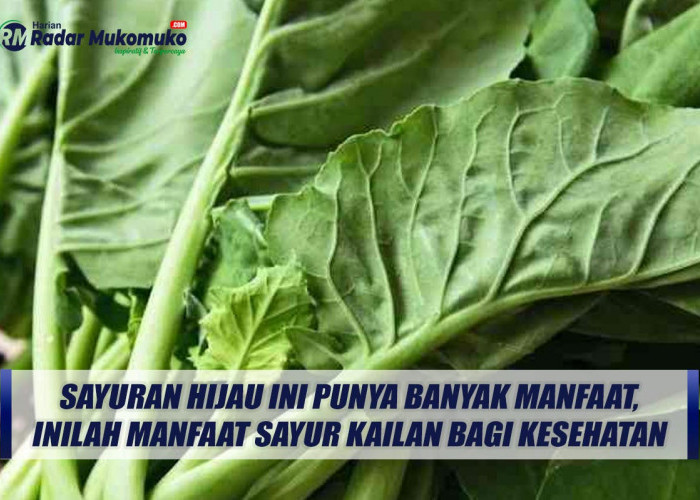 Sayuran Hijau Ini Punya Banyak Manfaat, Inilah manfaat Sayur Kailan Bagi kesehatan