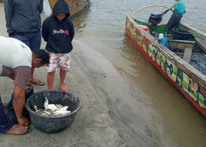 Tangkapan Melorot, Sebagian Nelayan Mukomuko Memilih Tak Melaut Takut Rugi 