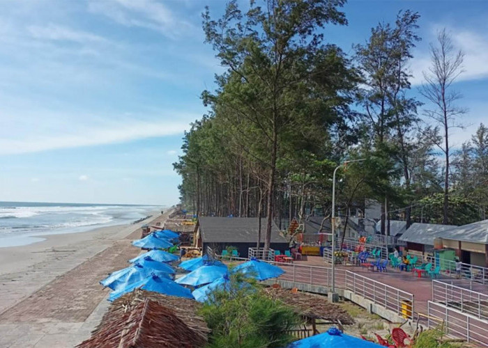 Rekomendasi Tempat Wisata yang Memiliki Pantai Air Biru yang Indah di Bengkulu, Bisa Jadi Opsi Liburan