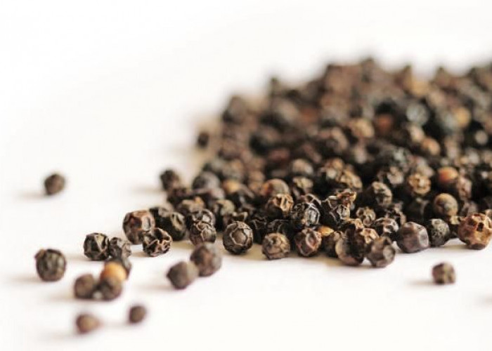 Efek Samping Lada Hitam: Kapan Sebaiknya Dihindari atau Dikonsumsi dengan Hati-hati?