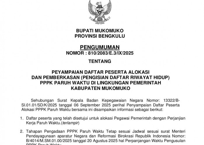 PPPK Paruh Waktu, Cara Mengisi DLH dan Dokumen Yang Harus Disiapkan