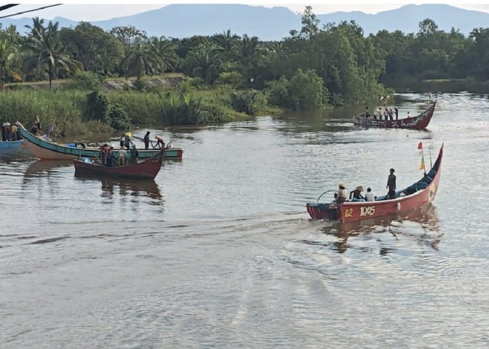 Ikan Mukus Sudah Masuk Sungai Selagan Mukomuko, Begini Penampakannya