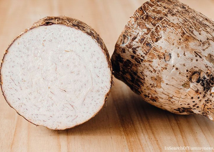 Kandungan Nutrisi Taro: Vitamin, Mineral, dan Antioksidan yang Bermanfaat untuk Kesehatan!