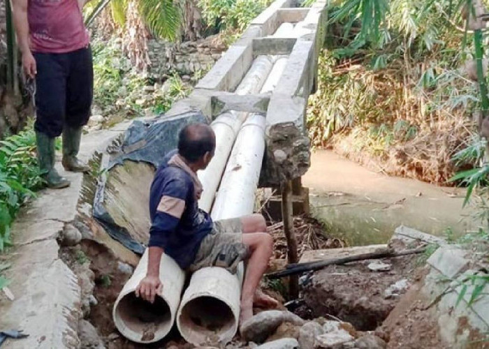 Ratusan Kelompok Tani Mukomuko Kirim Proposal ke Kementerian Pertanian