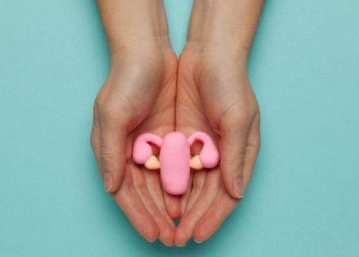 Vaksin HPV: Pencegahan Kanker Serviks yang Efektif!