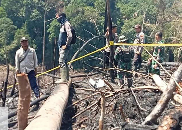 Polisi Temukan Aktivitas Perambah Kawasan Hutan Mukomuko dengan Cara Dibakar   