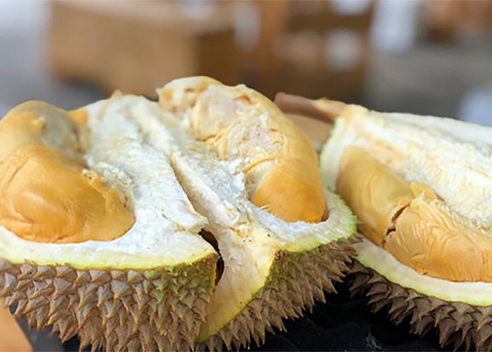 Pecinta Durian Wajib Tahu, Ini Jenis-jenis Raja Buah Termahal di Dunia