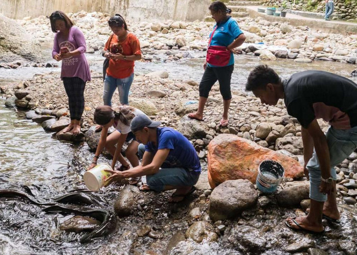 Keindahan Alam di Balik Wisata Budidaya Belut Sacred Eels of Waai