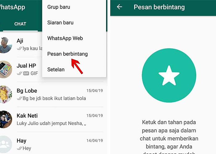 Ini Dia Cara Menyimpan Pesan yang Penting di WhatsApp Tanpa Takut Hilang