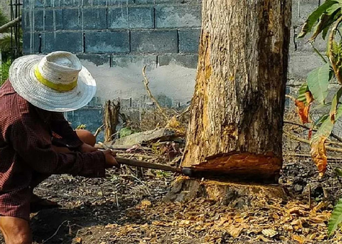 5 Mitos Tabu Ini Mencegah Orang Indonesia Berbuat Jahat di Tempat-Tempat Ini, Berani Melanggar? 