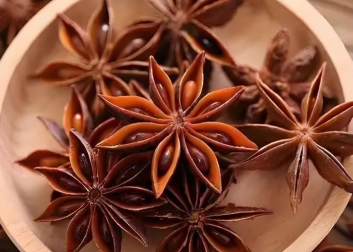 Bunga Lawang: Si Bintang Aroma, Rempah Unik yang Kaya Rasa dan Manfaat!