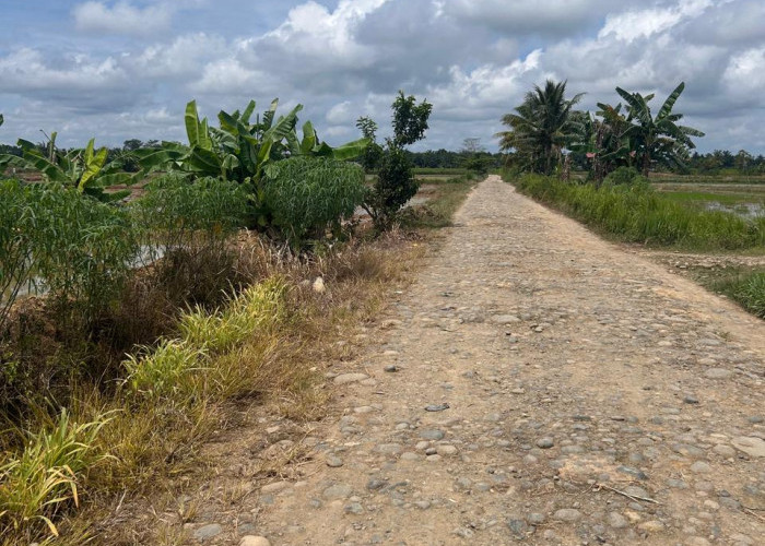 Warga Sumber Makmur Dambakan Jalan Alternatif Penghubung Mukomuko ke Sumbar Diaspal