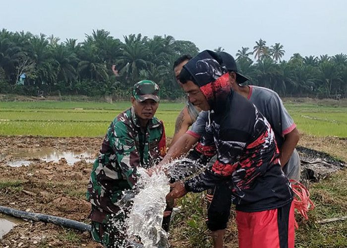 Dinas Pertanian Mukomuko Ajukan Pompa Air Sawah Tadah Hujan ke Kementerian Pertanian