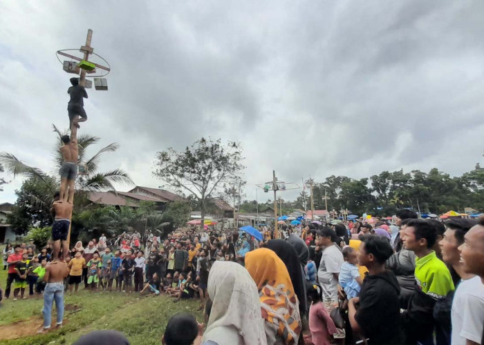 Panjat Pinang, Tutup Rangkaian Kegiatan HUT Kabupaten Mukomuko di Kecamatan Penarik