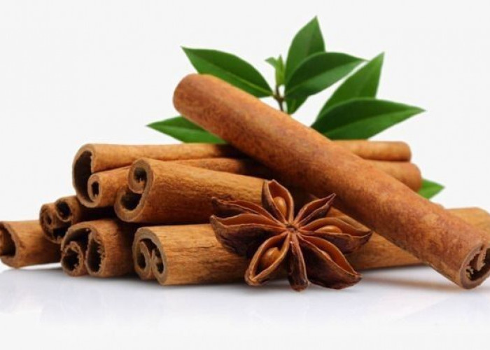 Kayu Manis: Lebih dari Sekadar Bumbu Kue, Rempah Ajaib dengan Segudang Khasiat!
