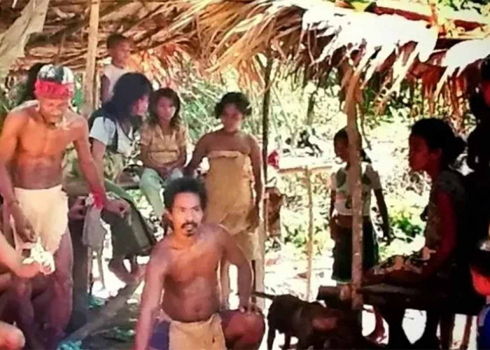 Suku Togutil Hidup Di Pedalaman Maluku, Dari Tak Mengenal Busana Hingga Berjilbab