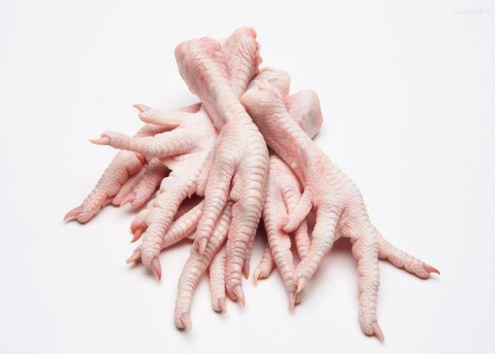 Tips Membersihkan dan Mengolah Ceker Ayam Agar Tidak Amis: Teknik Mudah!