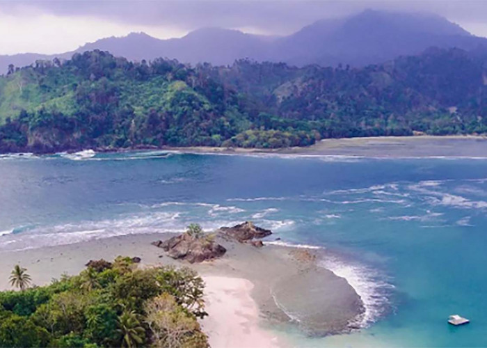 Butuh Healing? Coba Kunjungi Pulau Kelapa di Tanggamus, Wisatawan Dapat Berinteraksi dengan Lumba-lumba