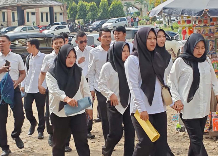 Begini Nasib Honorer Yang Tidak Lulus Tes Tahap 1 dan Tahap 2, Siap-Siap Dirumahkan