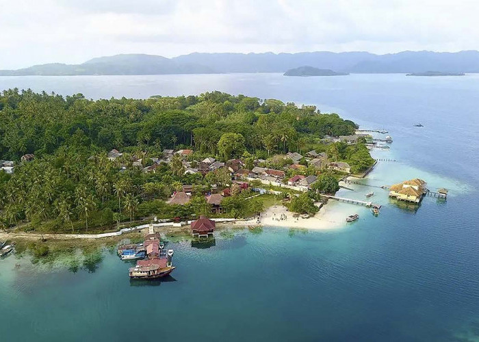 Pesona Keindahan Bawah Laut di Wisata Bahari Pulau Tanjung Putus Lampung