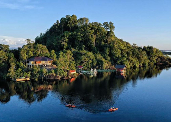 Menyejukkan dan Cocok untuk Healing Sendirian, Inilah Keindahan Alam Danau Sentarum