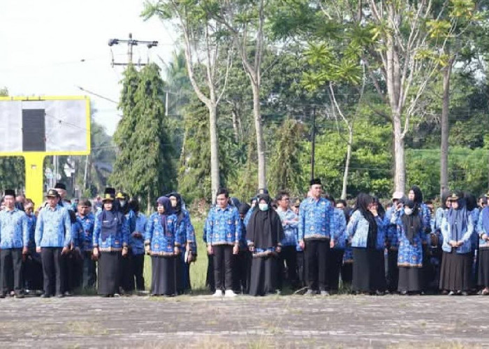 Oknum PNS Mukomuko Makan Gaji Buta Harus Ditindak Tegas, Saprin Efendi: Bila Perlu Dipecat