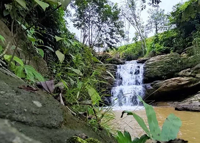3 Tempat Destinasi Wisata Alam yang Menyejukan di Samarinda, Kalimantan Timur