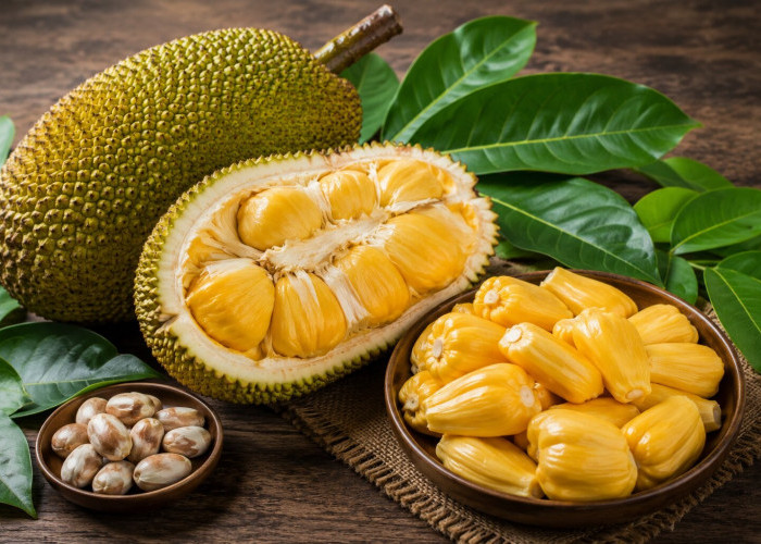 Manfaat Buah Cempedak bagi Kesehatan: Buah Tropis Harum yang Kaya Serat dan Vitamin