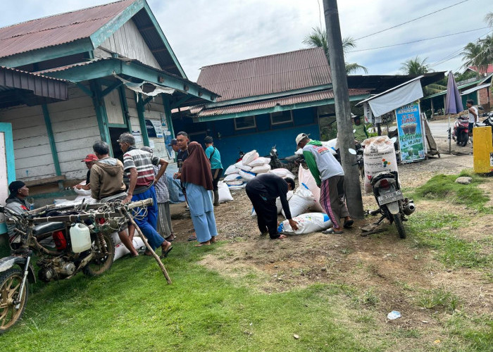 Petani Bisa Cek Kuota Pupuk Bersubsidi Secara Mandiri, Begini Caranya