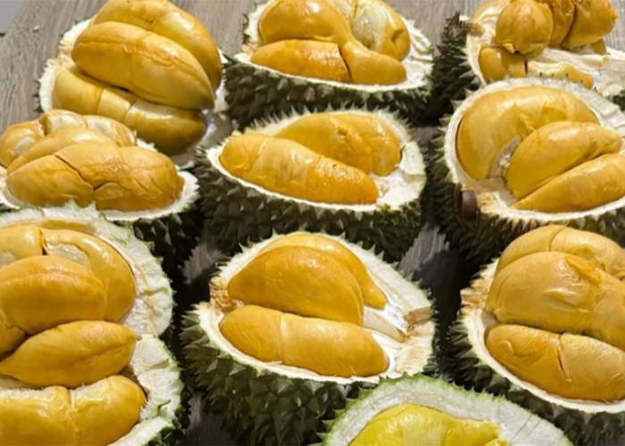 Musim Durian Tiba, Ini Manfaat dan Efek Samping Memakan Buah Berduri Tersebut