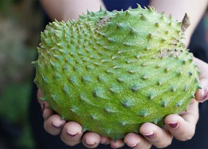 4 Kelompok Orang Ini Tidak Boleh Makan Sirsak, No 1 Perlu Diingat Betul