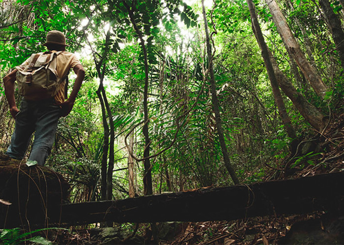 5 Insting Bertahan Hidup yang Akan Membantu Anda Bertahan Melawan Alam Liar di Hutan dan Pulau 