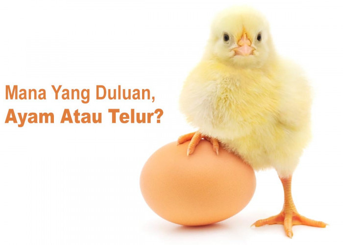 Soal Mana Dulu Ayam dari Telur, Begini Jawabannya Dari Berbagai Versi