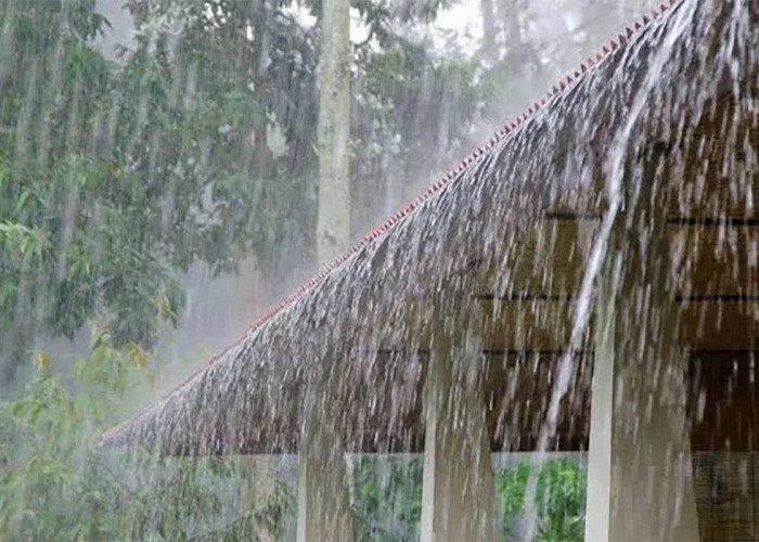 Peringatan Dini Cuaca Bengkulu, 4 Daerah di Mukomuko Ini Sering Hujan