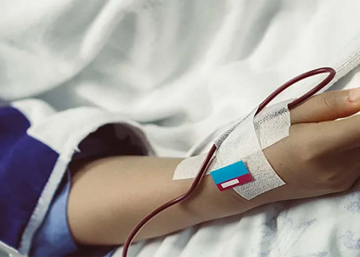 Kelainan Pada Darah, Mari Mengenal Penyakit Thalassemia yang Masih Banyak Orang Awam Belum Tahu