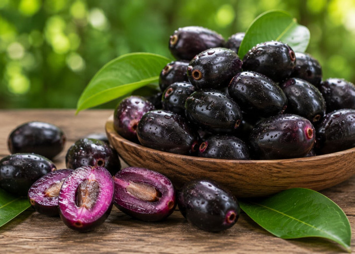 Manfaat Buah Jamblang bagi Kesehatan: Buah Ungu Khas Tropis yang Kaya Antioksidan