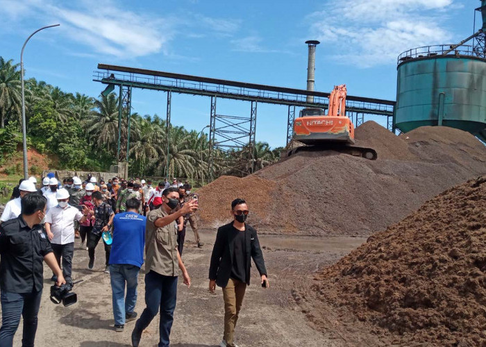 Angkutan CPO dari Mukomuko ke Padang Terkendala Jalan Putus, Pabrik Sawit Tetap Beroperasi 