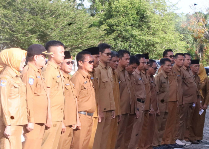 ASN Resmi Terapkan Kerja Dari Rumah, Berikut Ketentuannya