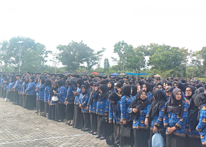 Belanja Pegawai Maksimal 30 Persen, PPPK Paruh Waktu Mukomuko Juga Terancam Dirumahkan