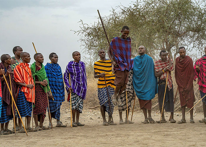 Tradisi Suku, Tamu Adalah Raja, Istripun Diberikan, Suku Maasai Pemburu Singa