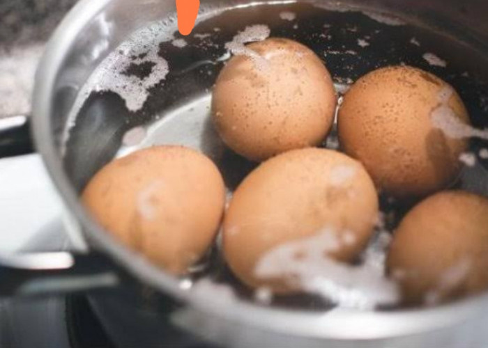 7 Langkah Praktis Cara Merebus Telur Agar Mulus Tidak Pecah dan Gampang Dikupas