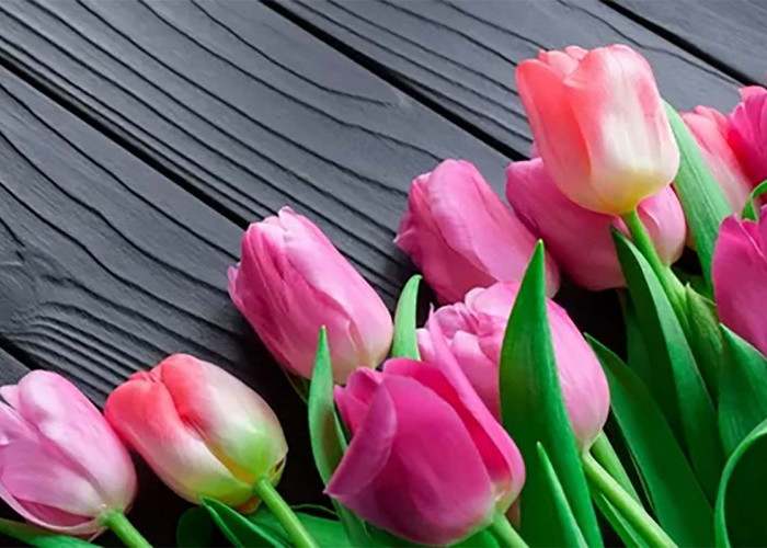 Dari Tulip hingga Bunga Matahari, Inilah Bunga-bunga yang Memiliki Lambang Persahabatan