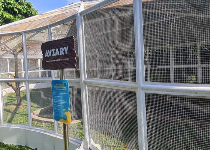 Jaga Peliharaan Hewan di Aviary! Begini Tips Mencegah Predator Memangsa Burung di Aviary