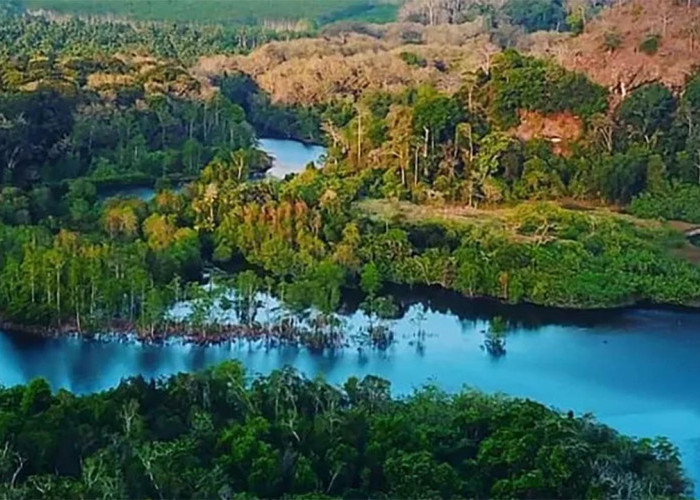 Keindahan Alam Taman Nasional Meru Betiri yang Menyegarkan Hati 