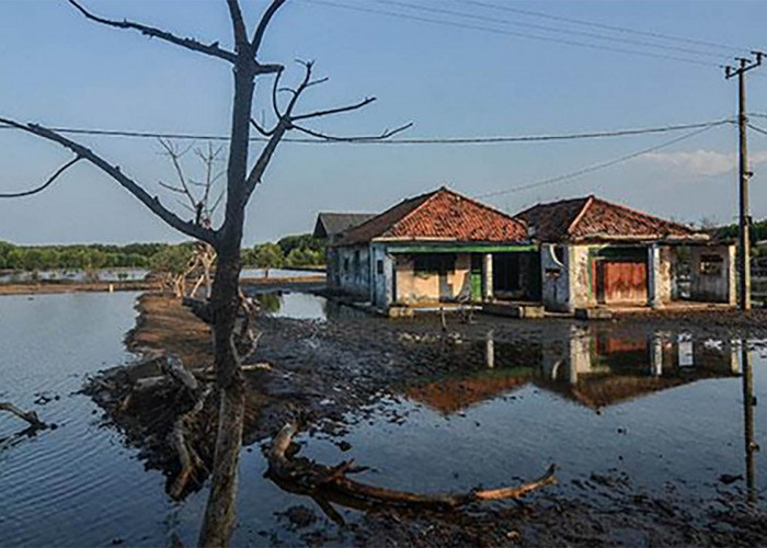 Daerah Yang Terancam Tenggelam di Indonesia, Penyebabnya Mengejutkan
