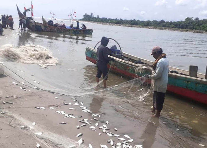 Dinas Perikanan Mukomuko Minim Kegiatan, Warsiman: Tahun Ini Hanya Andalkan DAU   