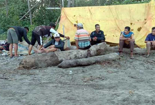 Nelayan Mukomuko Hilang  di Pantai Semumu Silaut Padang