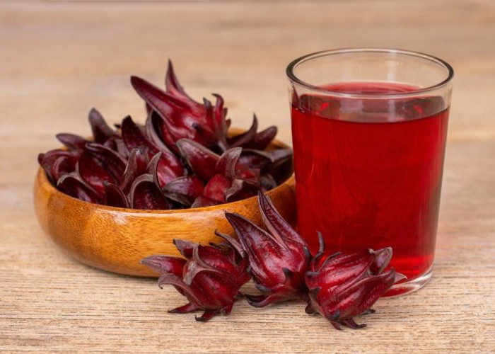Perisai Merah Alami: Menguak Manfaat Rosela dalam Memperkuat Imunitas dan Menangkal Radikal Bebas