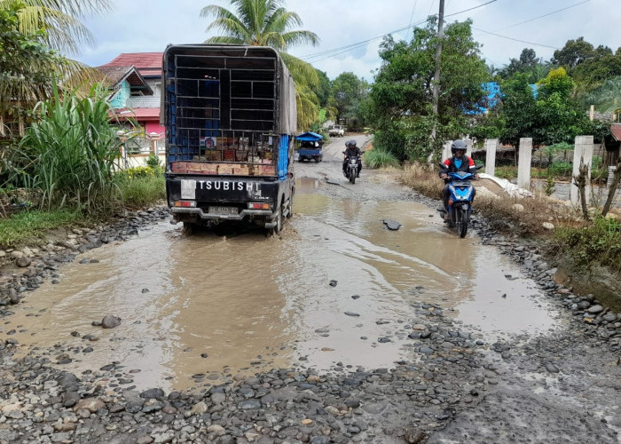 Rp 2,5 Miliar untuk Jalan Provinsi di Talang Medan