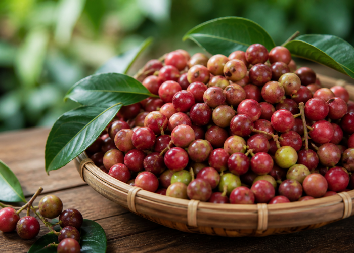 Manfaat Buah Rukam bagi Kesehatan: Kecil, Asam, dan Jarang Dikenal